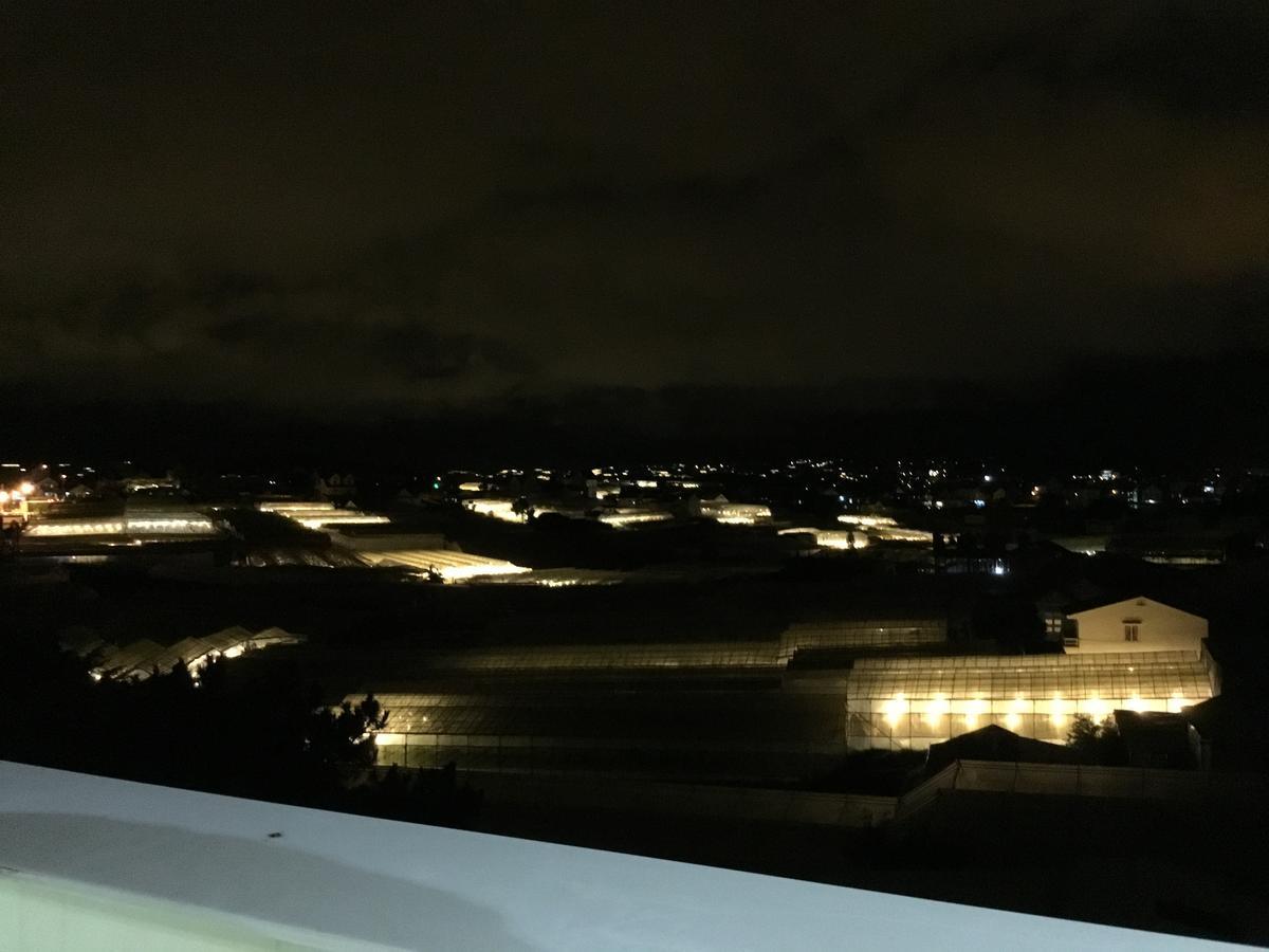Biet Thu Du Lich Atiso Lejlighed Da Lat Eksteriør billede